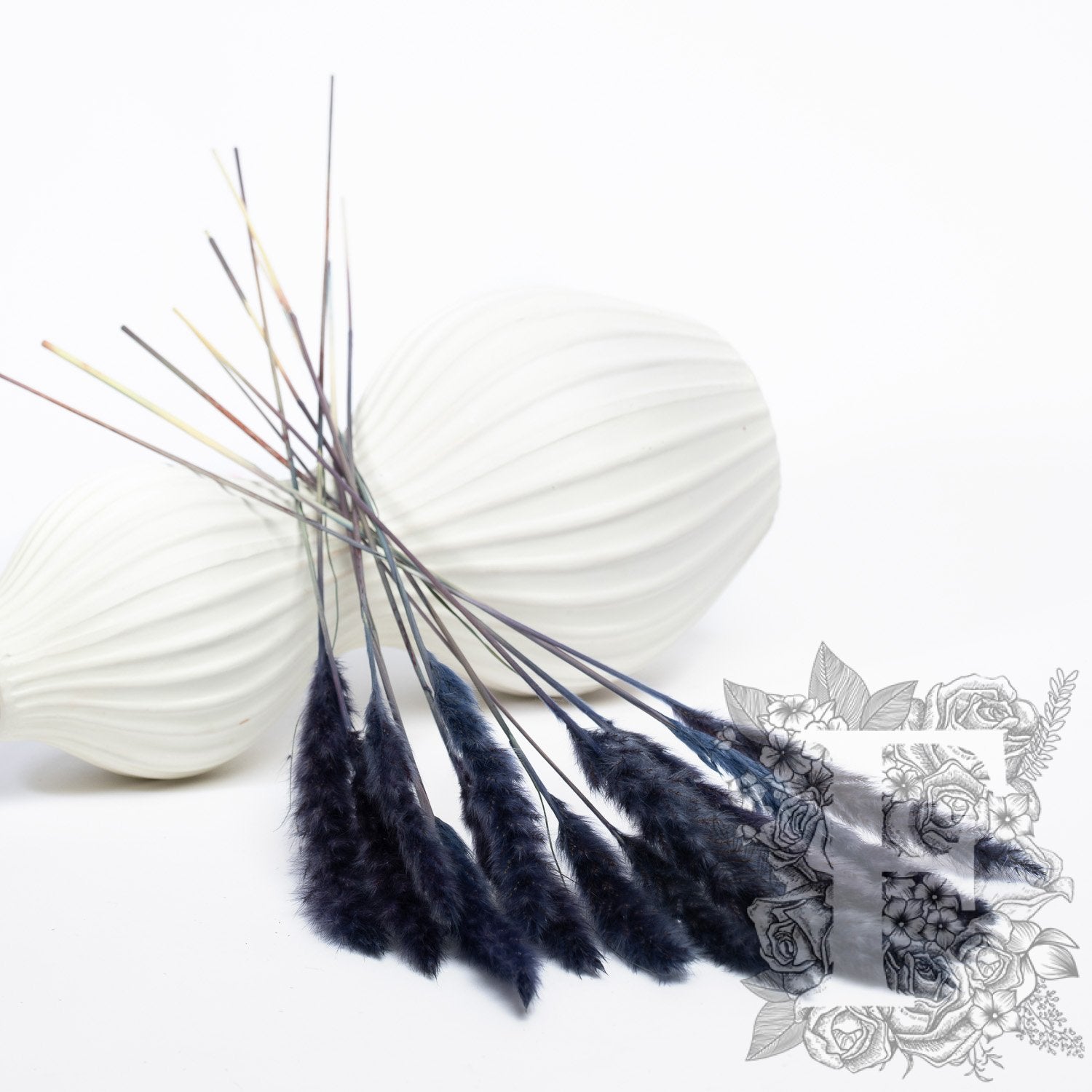 Pampas - Mini - Classic -10 Stems