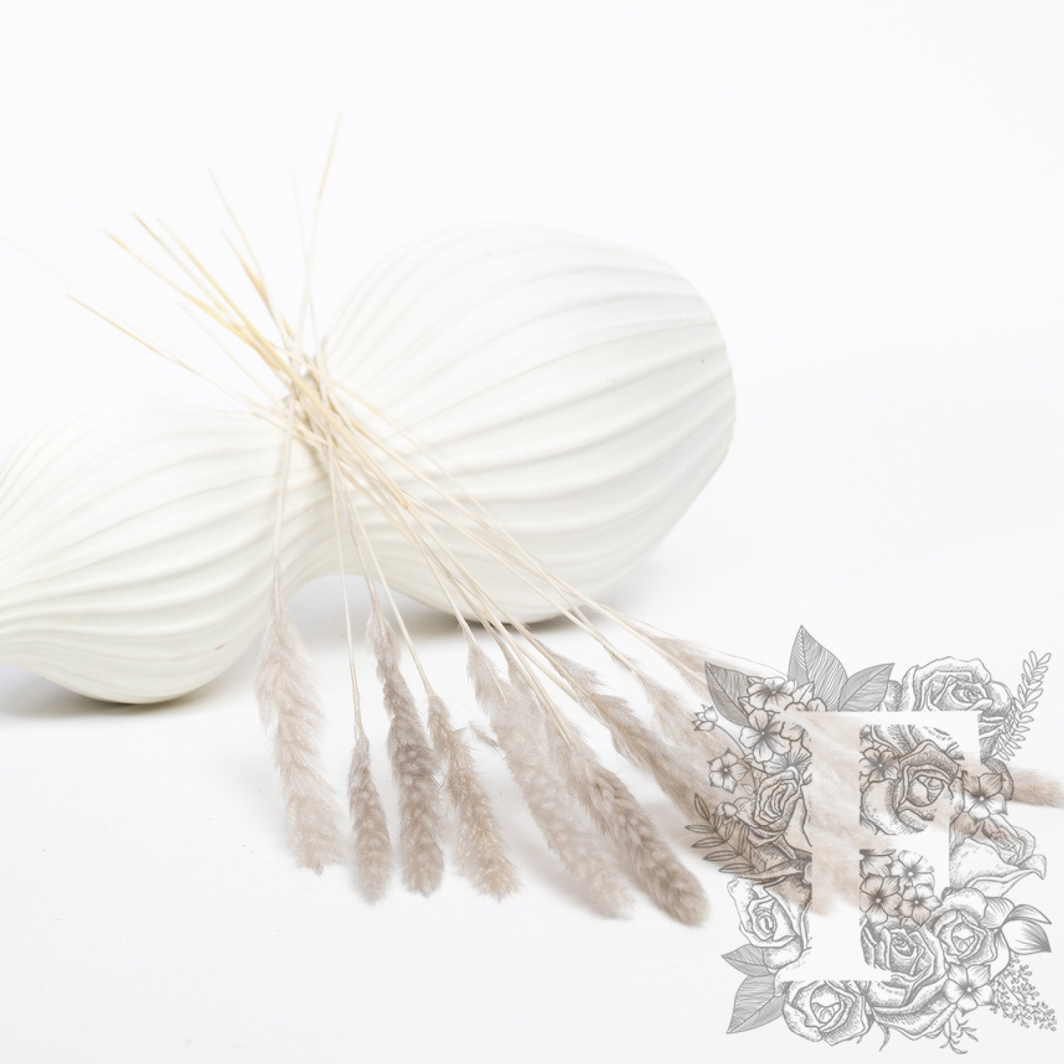 Pampas - Mini - Classic -10 Stems