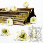 Garden Rose - Temari Mille-Feuille - 8 Heads