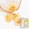 Rose Mimi - Petite - 9 heads