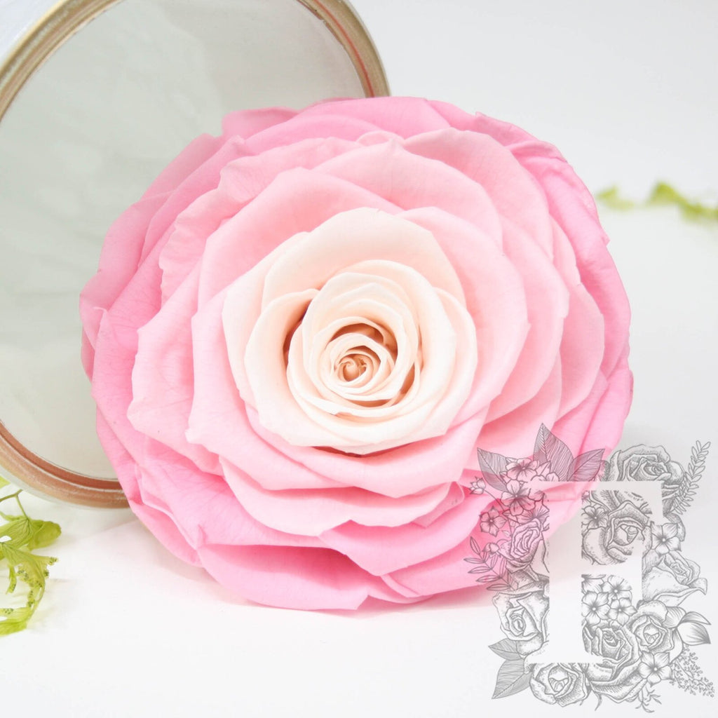 Kiara - Solitario - Ombre - 1 Head
