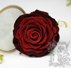 Kiara - Solitario - Ombre - 1 Head