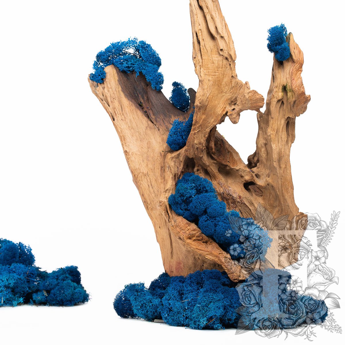 Premium Royal Blue Moss 1
