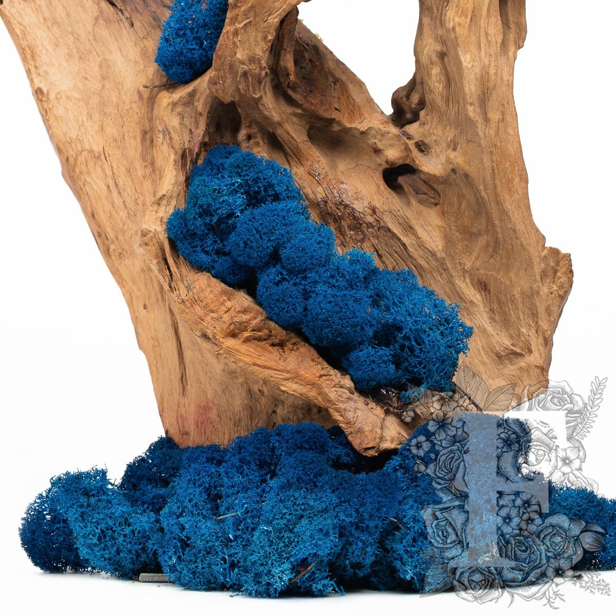 Premium Royal Blue Moss 2