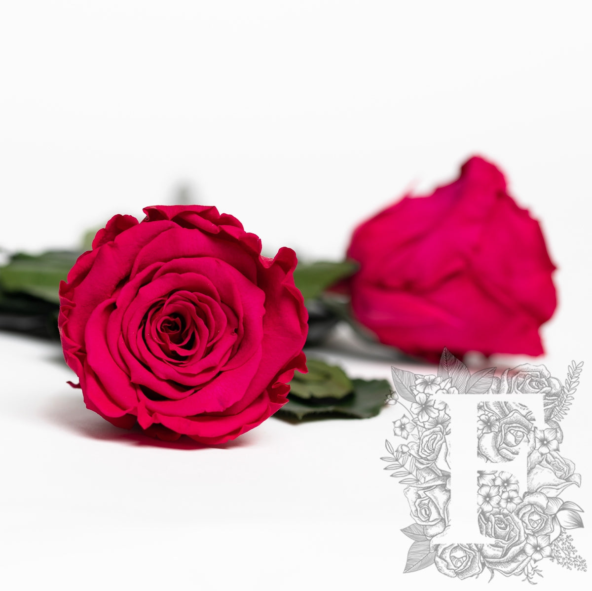 RoseAmor - LL+ Roses - 6 Heads