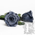 RoseAmor - LL+ Roses - 6 Heads