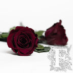 RoseAmor - LL+ Roses - 6 Heads