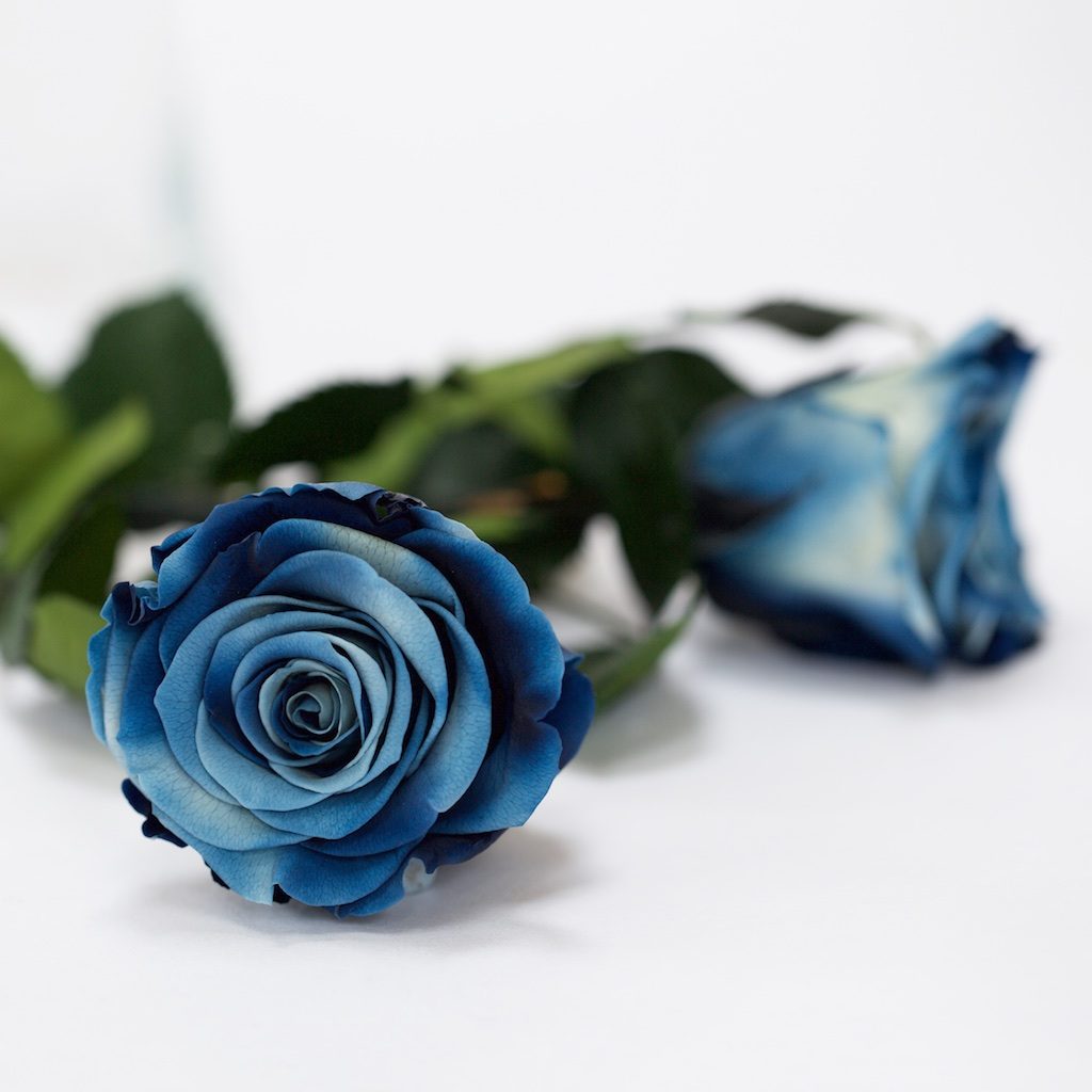 RoseAmor - LL+ Roses - 6 Heads