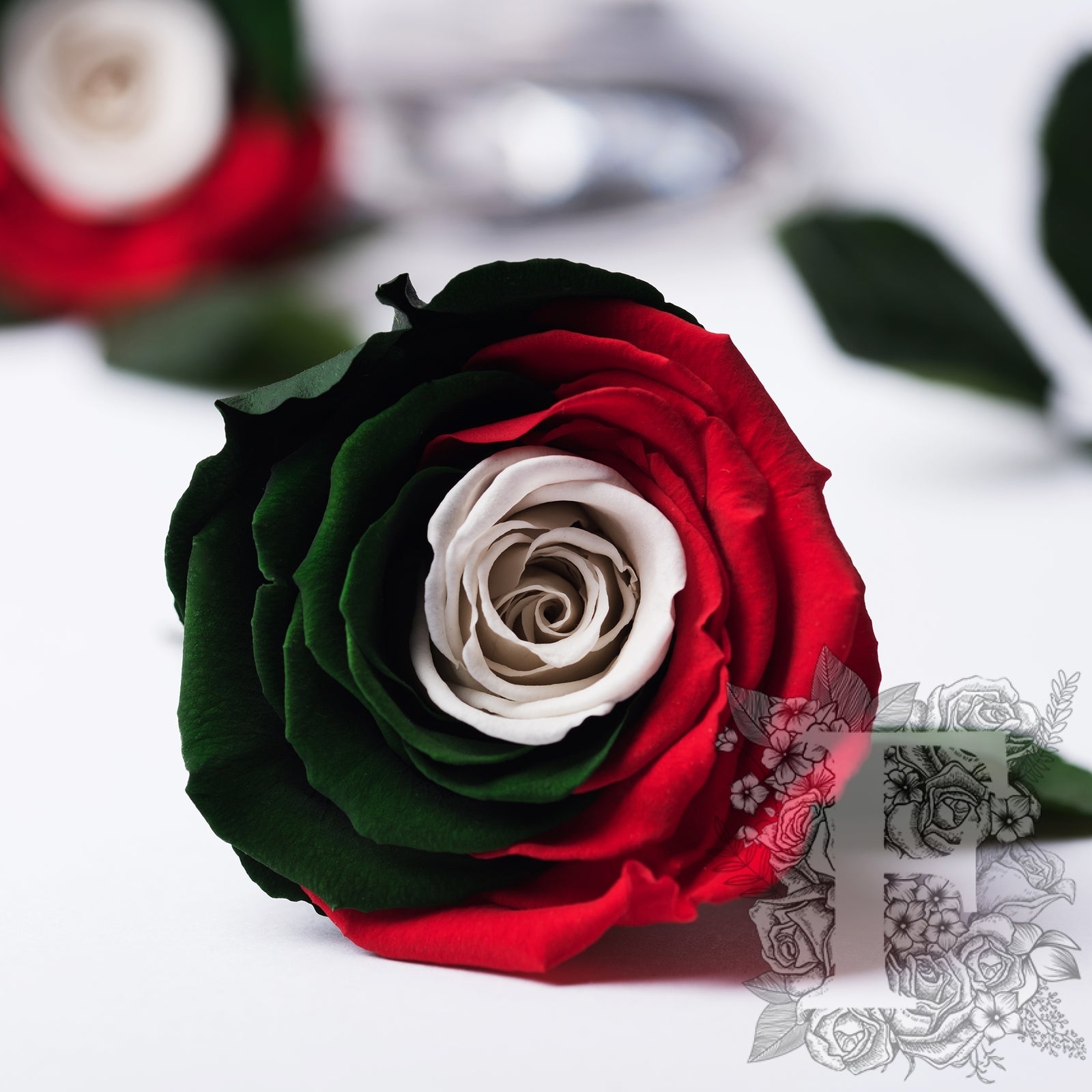 Exclusive - Flag Roses - Box of 6