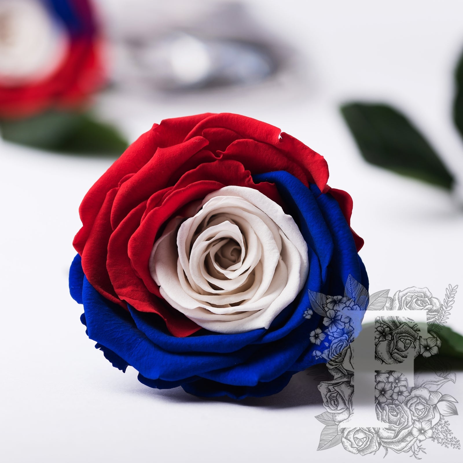 Exclusive - Flag Roses - Box of 6