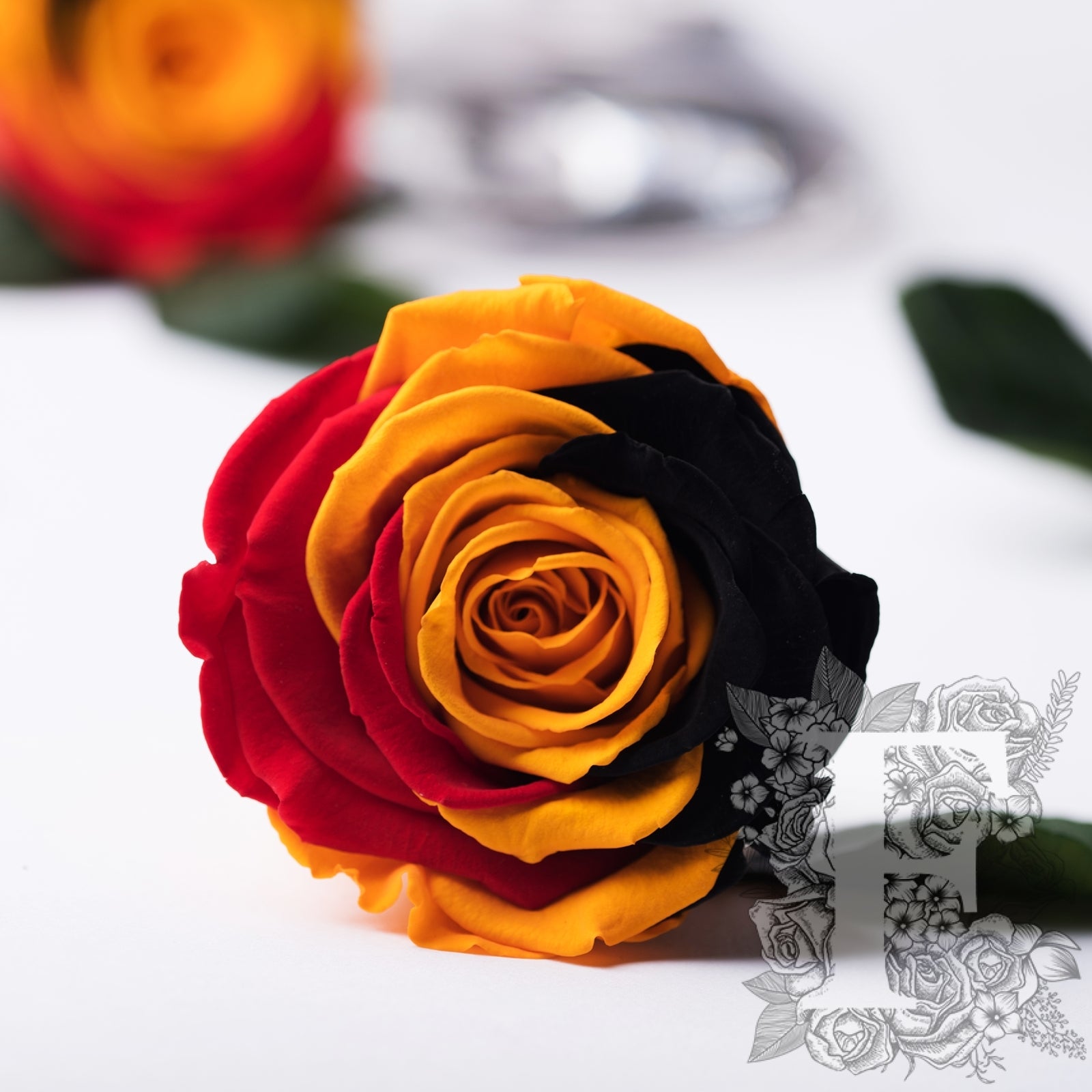 Exclusive - Flag Roses - Box of 6
