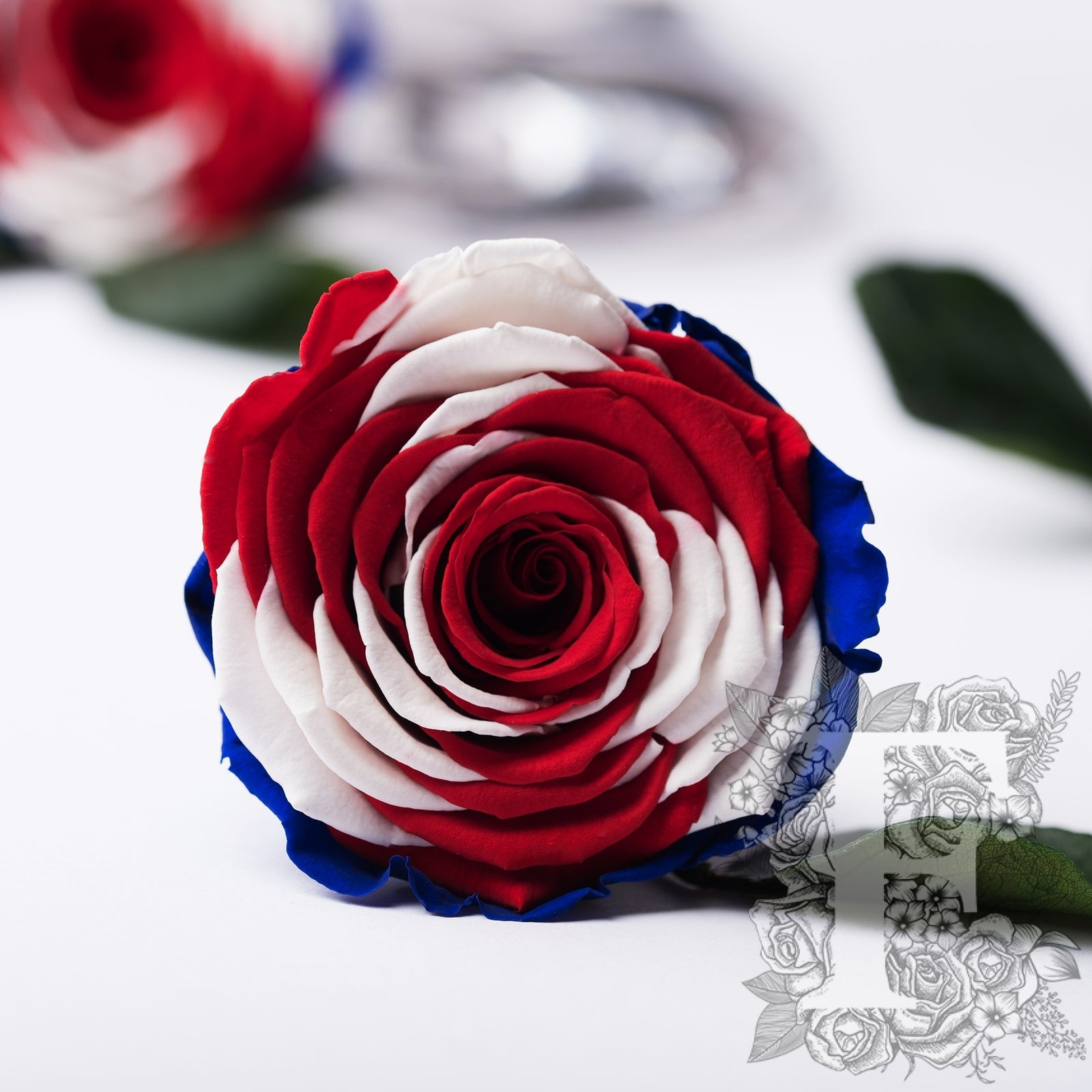 Exclusive - Flag Roses - Box of 6