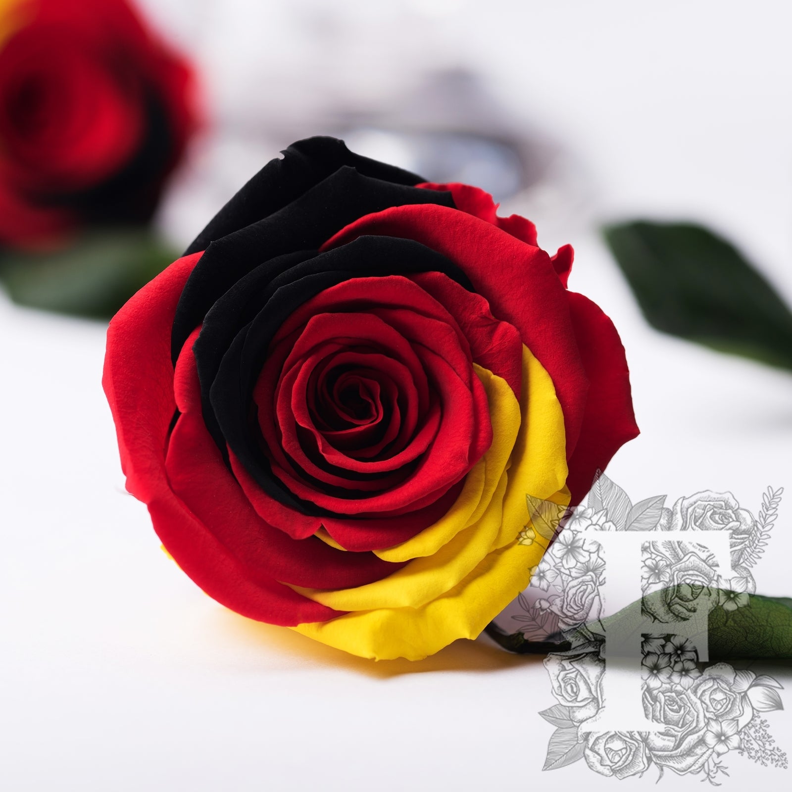 Exclusive - Flag Roses - Box of 6