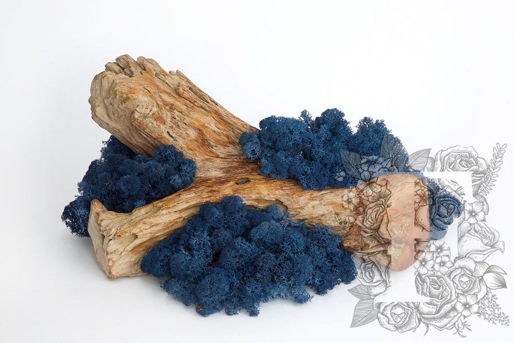Standard Icelandic Lichen Moss - 425g