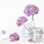 Premium Hydrangea - Stem