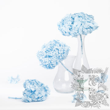 Premium Hydrangea - Stem