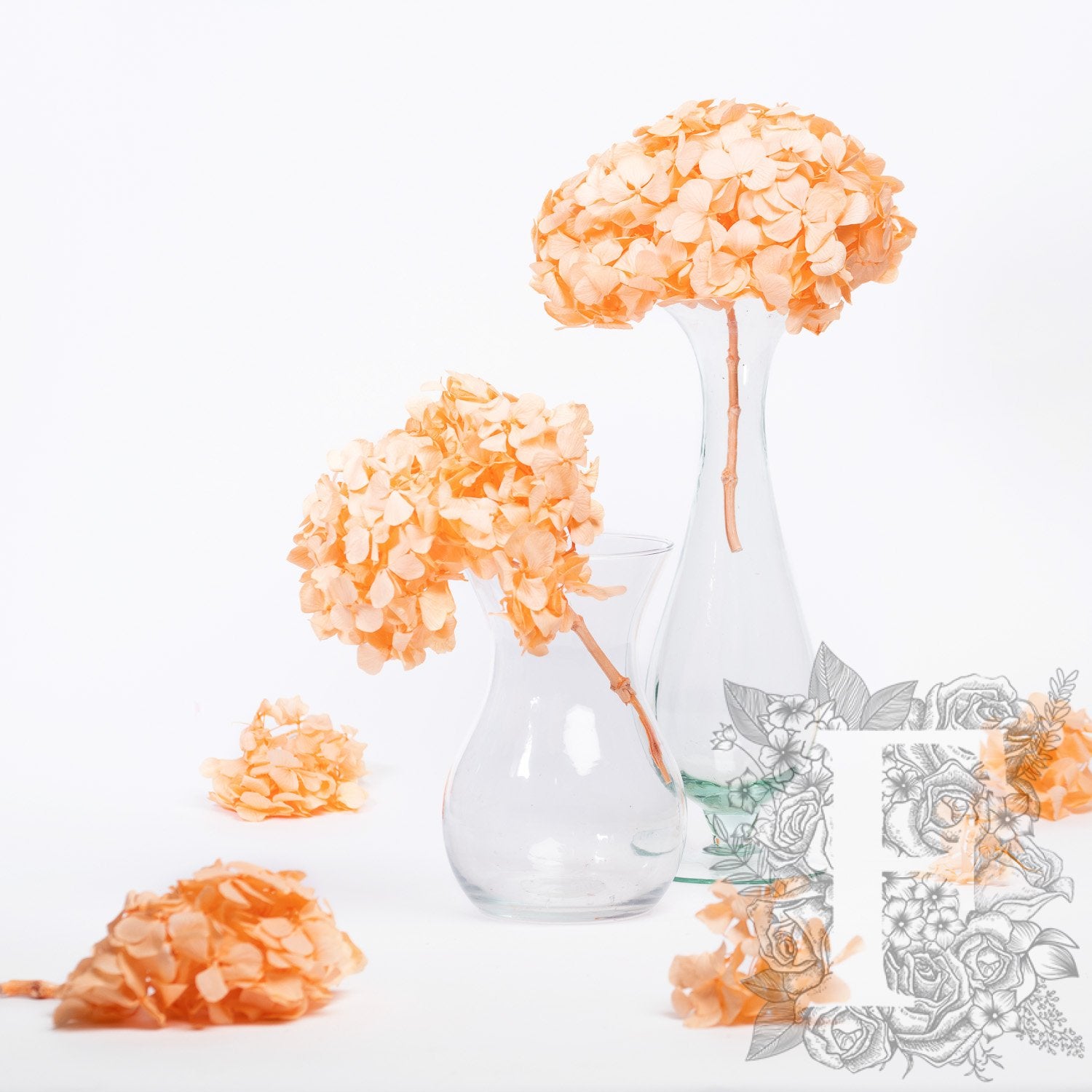 Premium Hydrangea - Stem