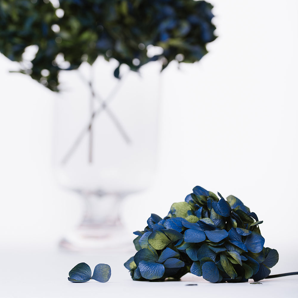 Natural Bi-Colour Hydrangea - Stem
