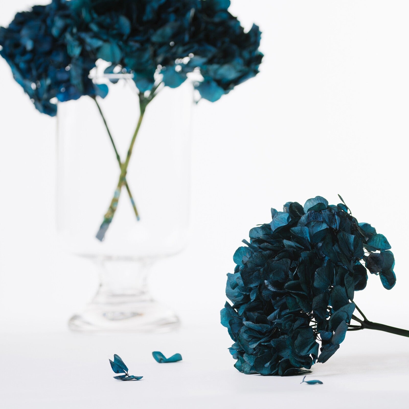 Fora Exclusive Hydrangea - Immense - stem