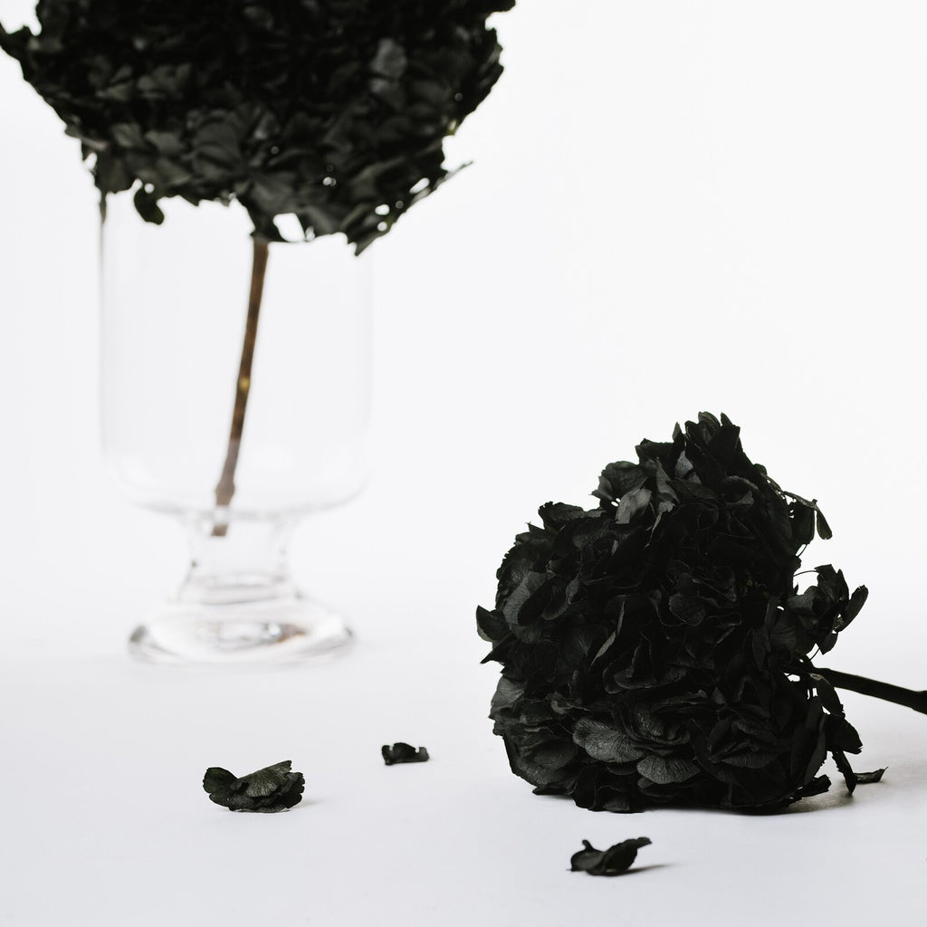 Fora Exclusive Hydrangea - Immense - stem