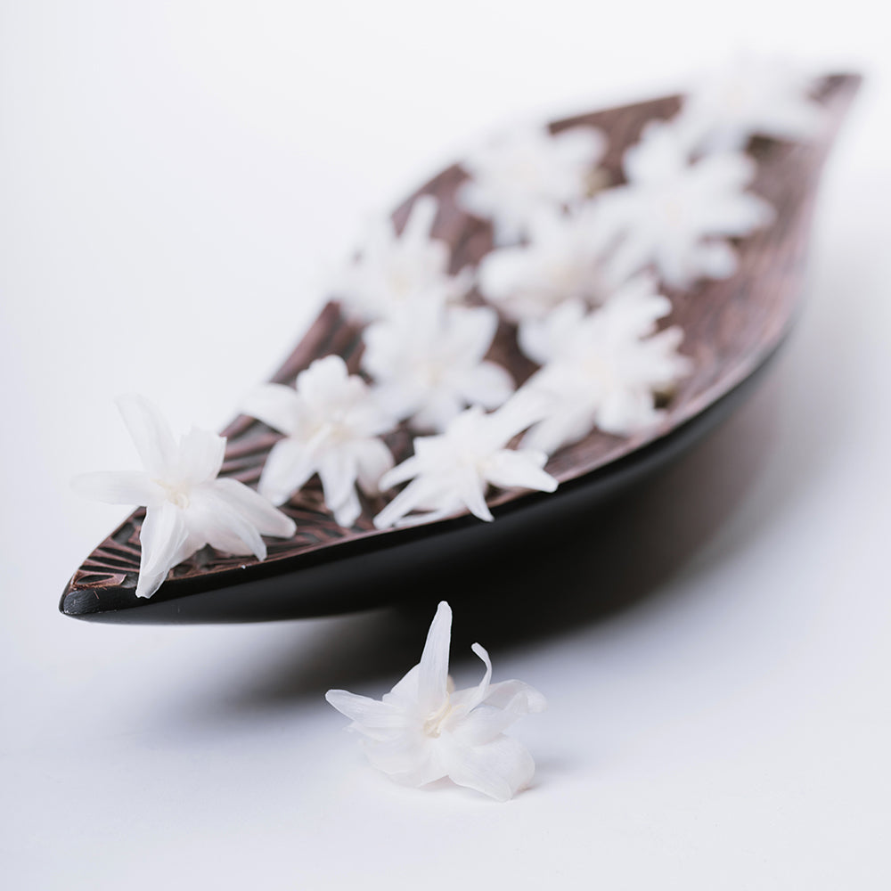Tuberose - 12 Heads
