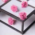 Carnation - 6 heads