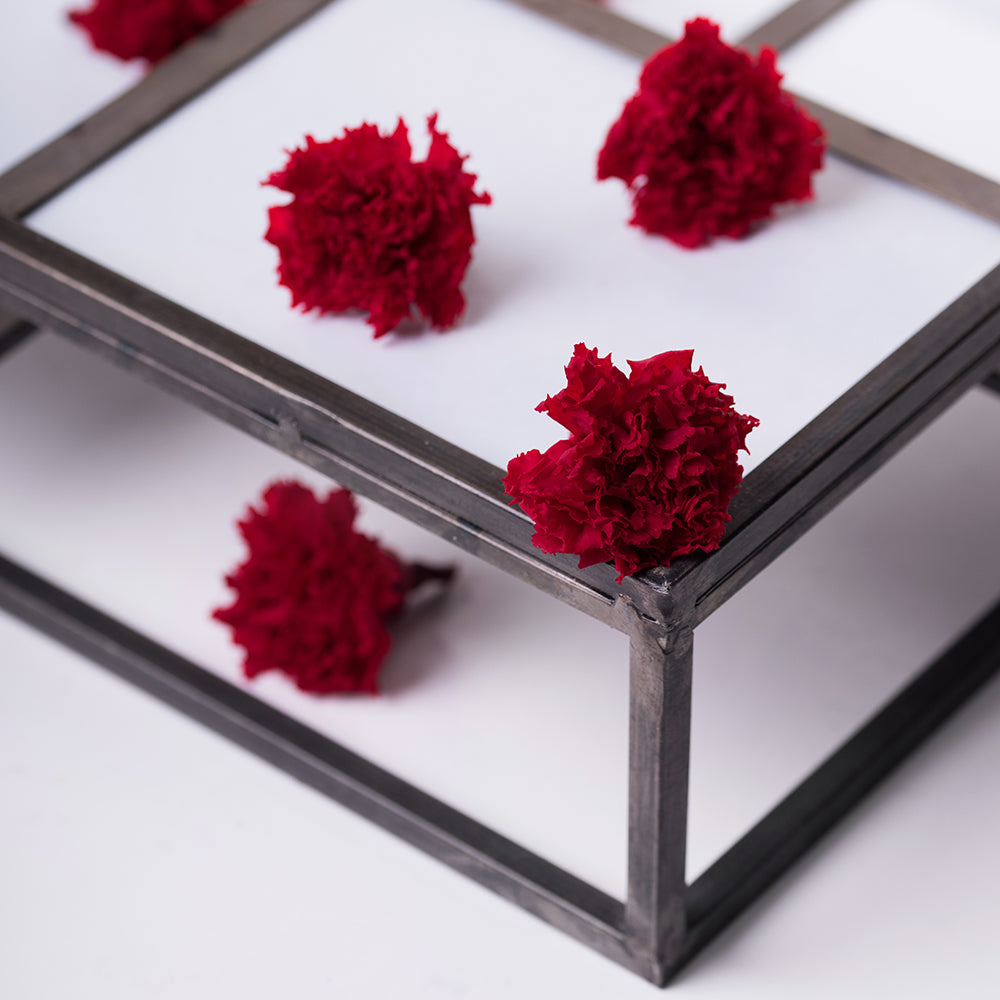 Carnation - 6 heads