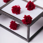 Carnation - 6 heads