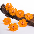ZinniaORA02 1
