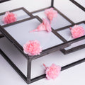 Premium Carnation Hanairo - 8 Heads