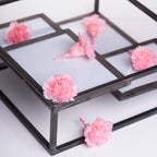 Premium Carnation Hanairo - 8 Heads