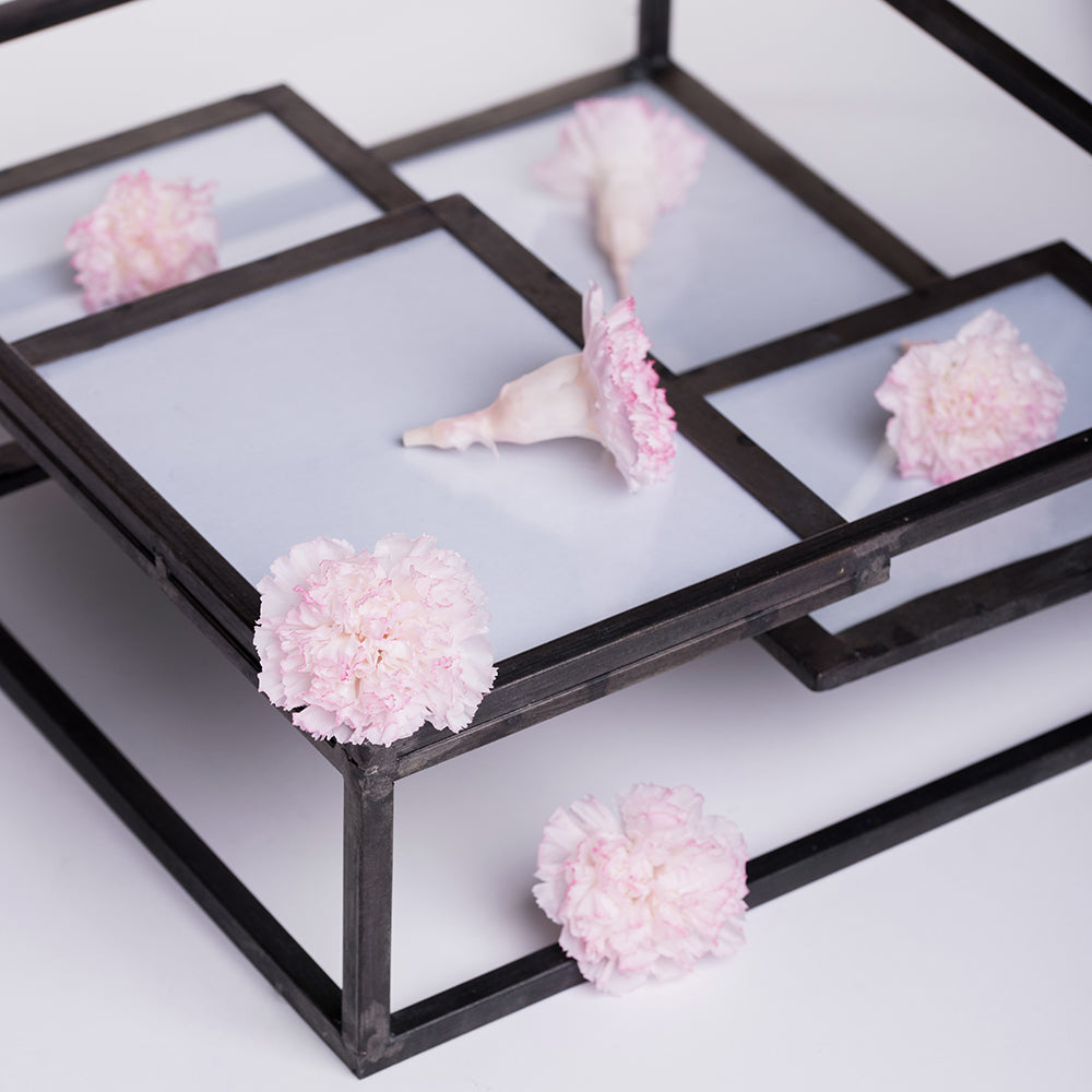 Premium Carnation Hanairo - 8 Heads
