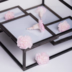 Premium Carnation Hanairo - 8 Heads