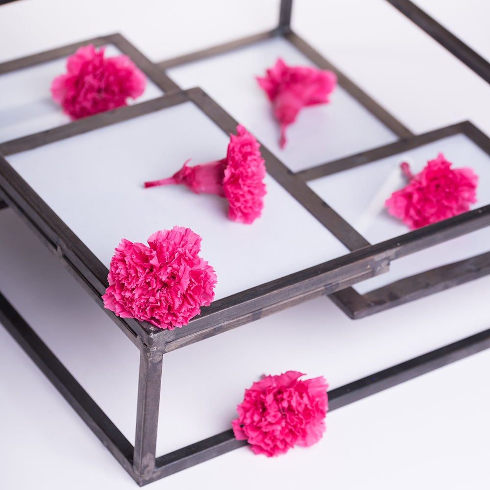 Premium Carnation - 8 Heads