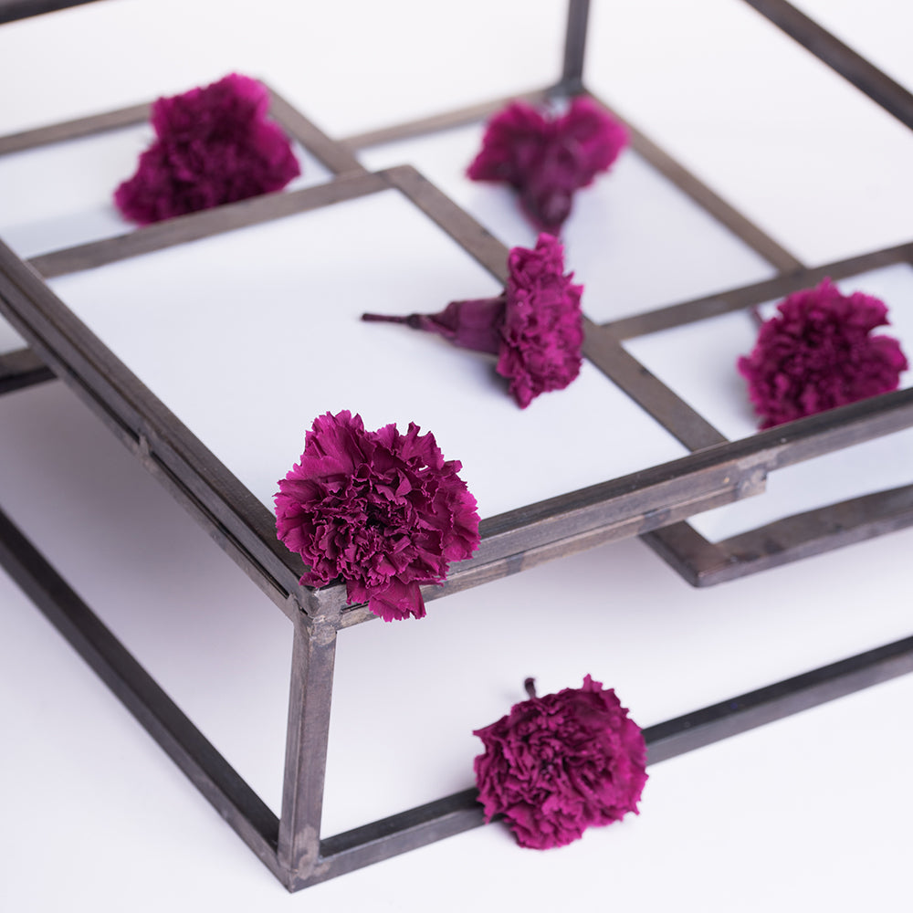 Premium Carnation - 8 Heads