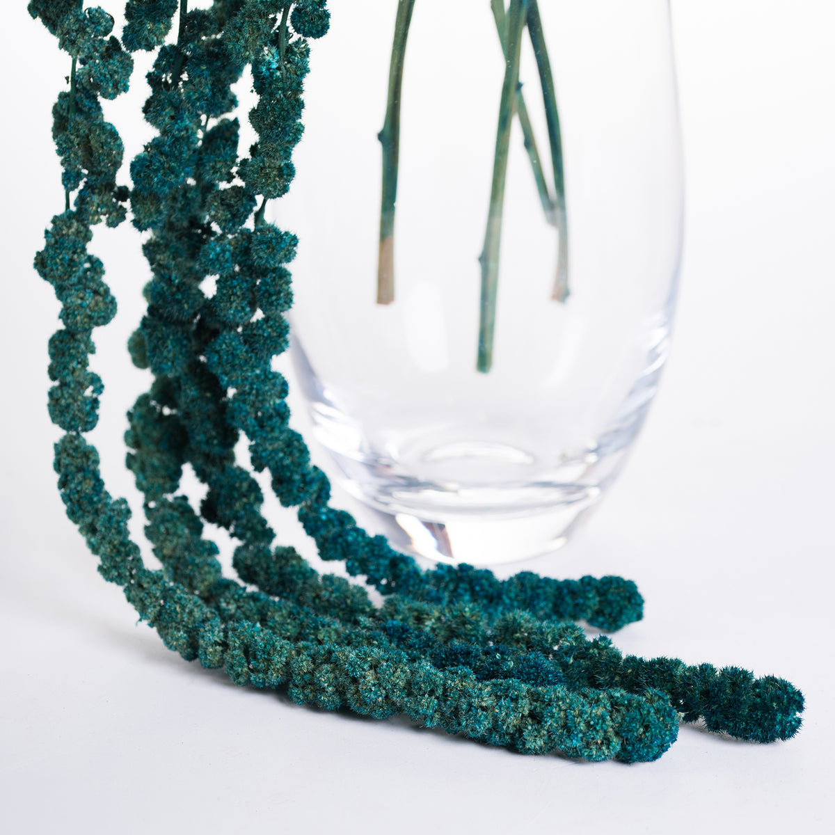 Amaranthus Ball - Bunch