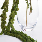 Amaranthus Ball - Bunch