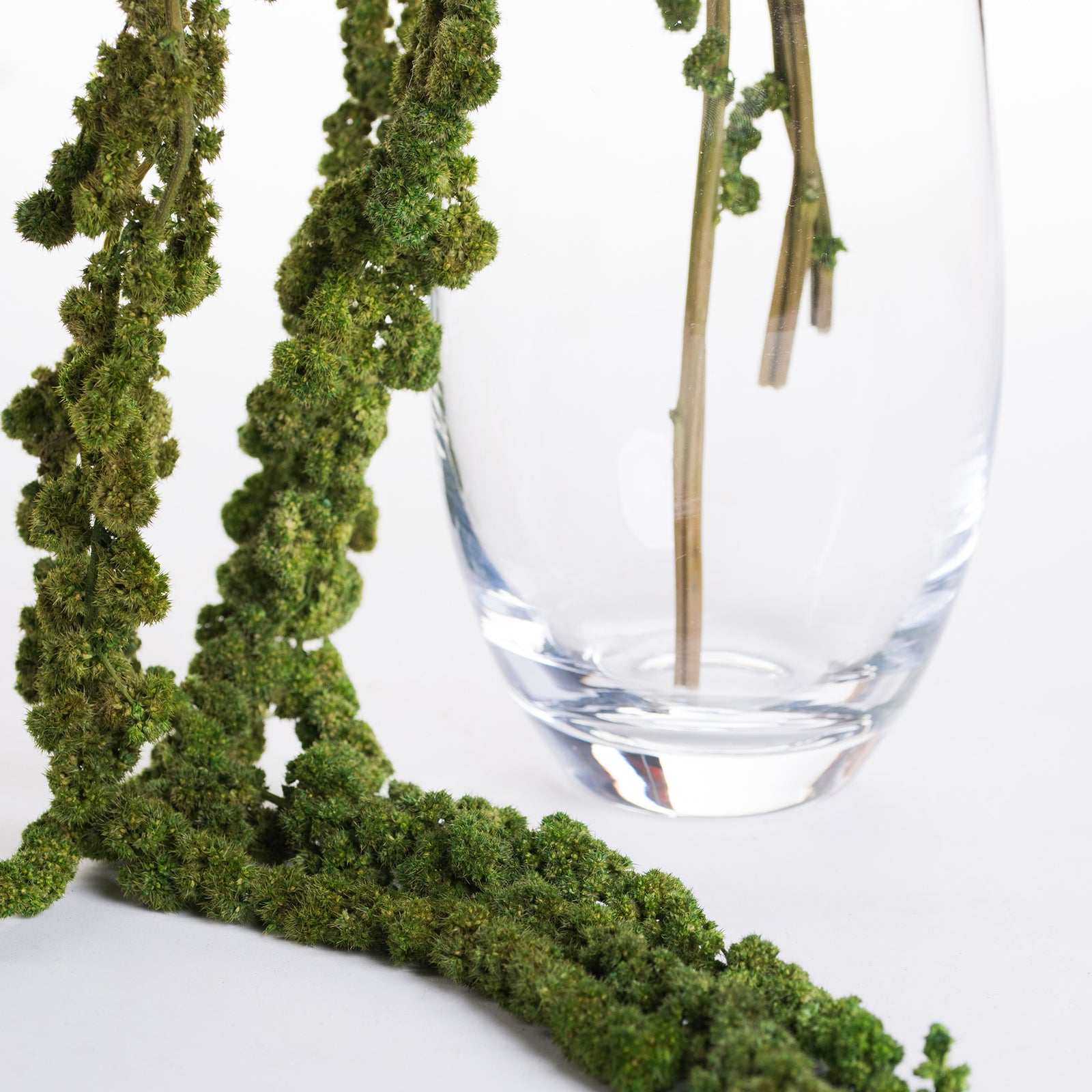 Amaranthus Ball - Bunch
