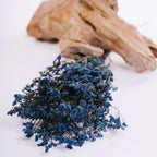 Limonium - Bunch