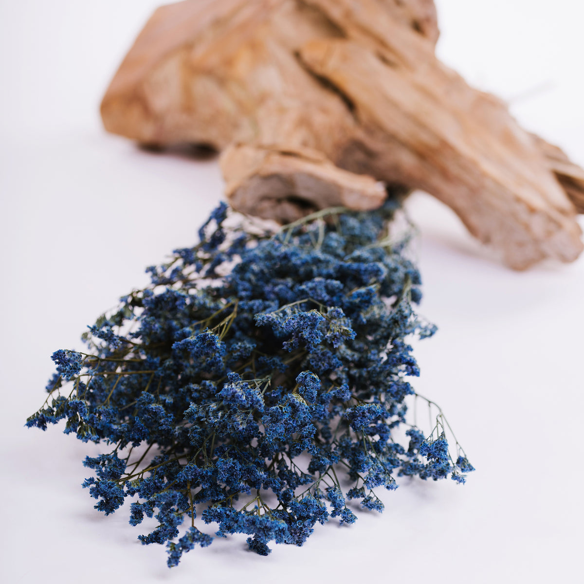 Limonium - Bunch