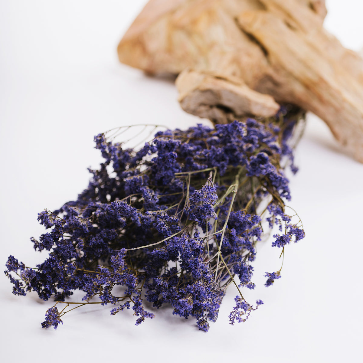 Limonium - Bunch