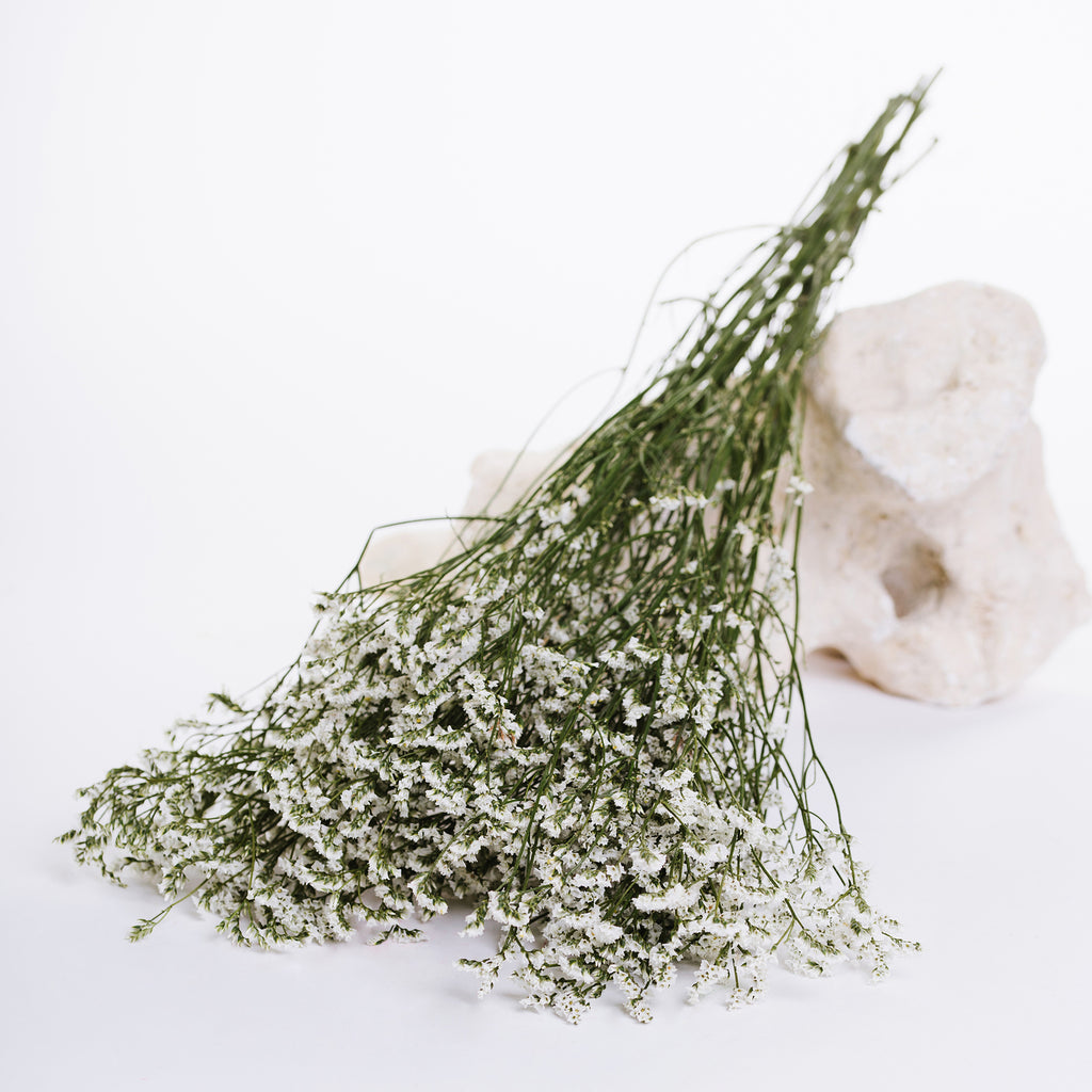 Limonium - Bunch