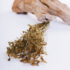Limonium - Bunch