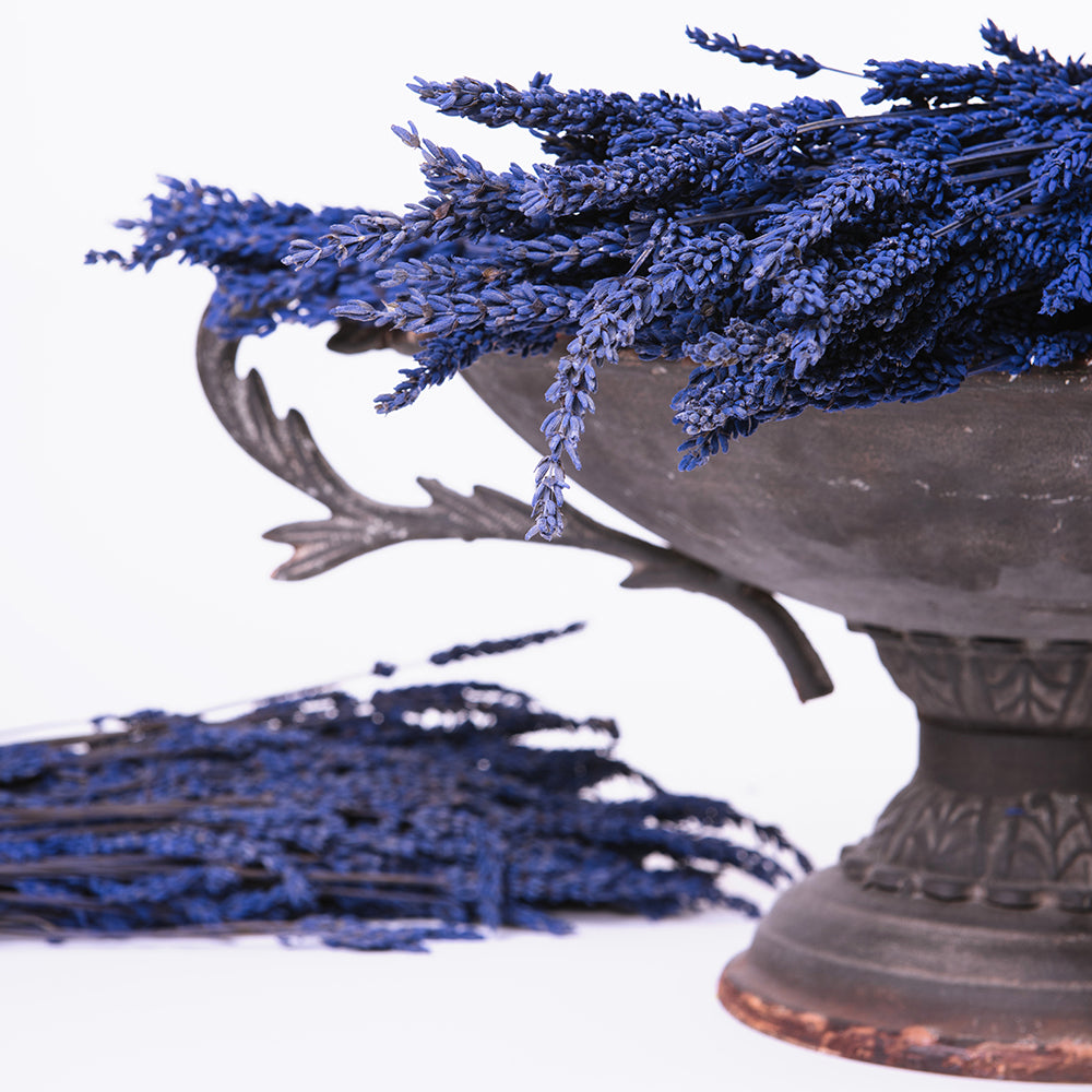 Preserved Lavender