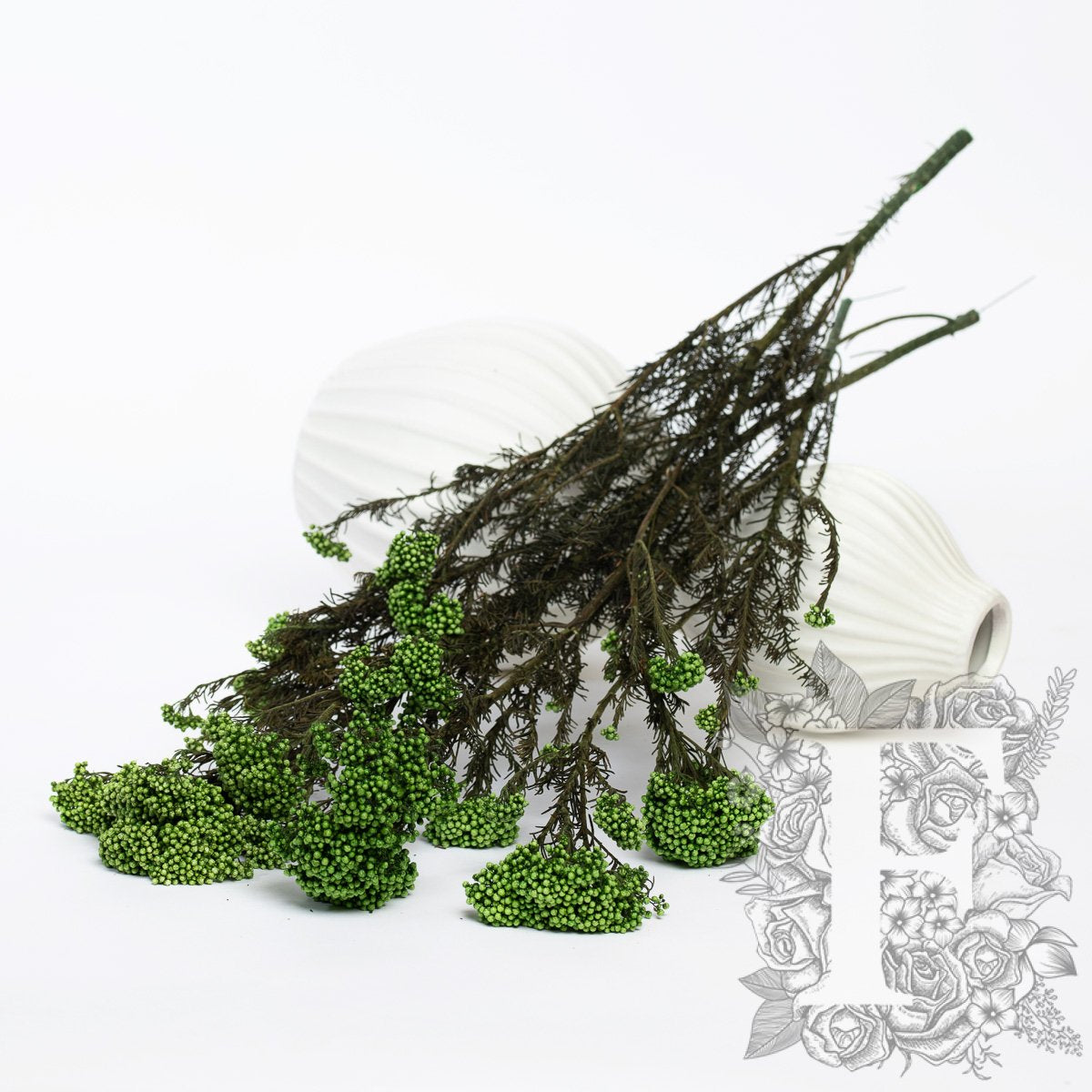 Rice Flower - Bunch