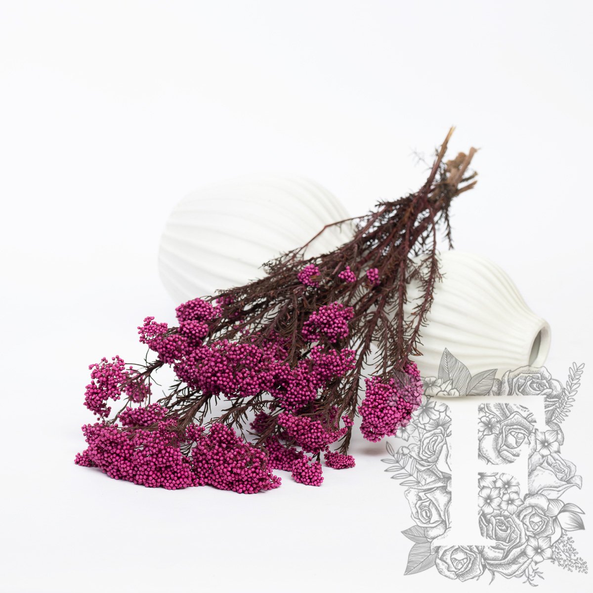 Rice Flower - Bunch