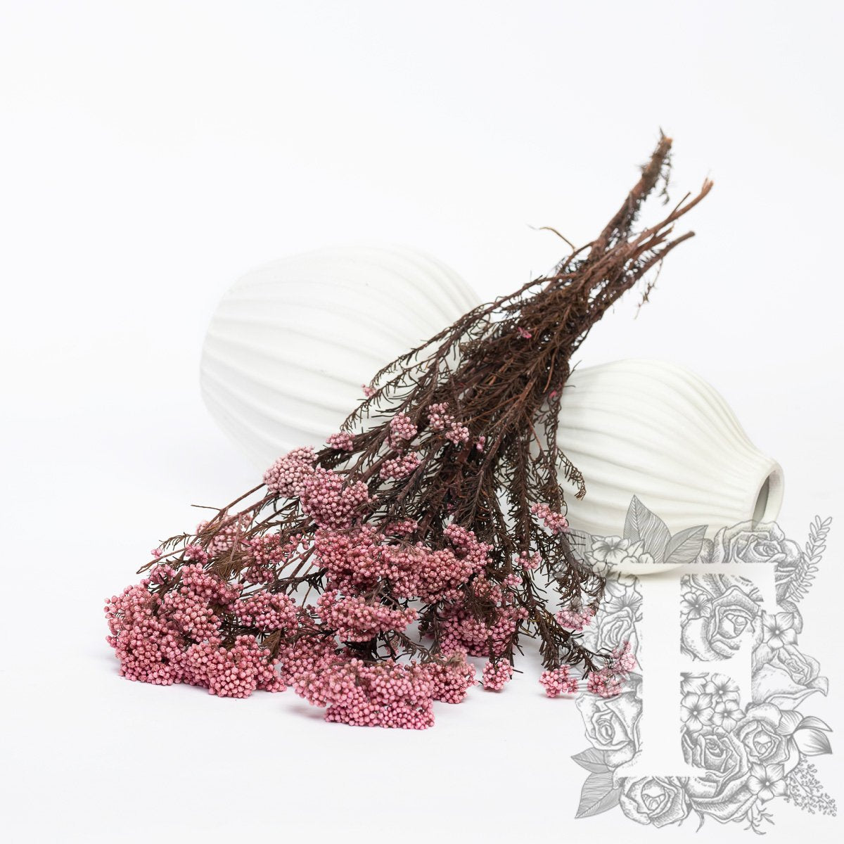 Rice Flower - Bunch