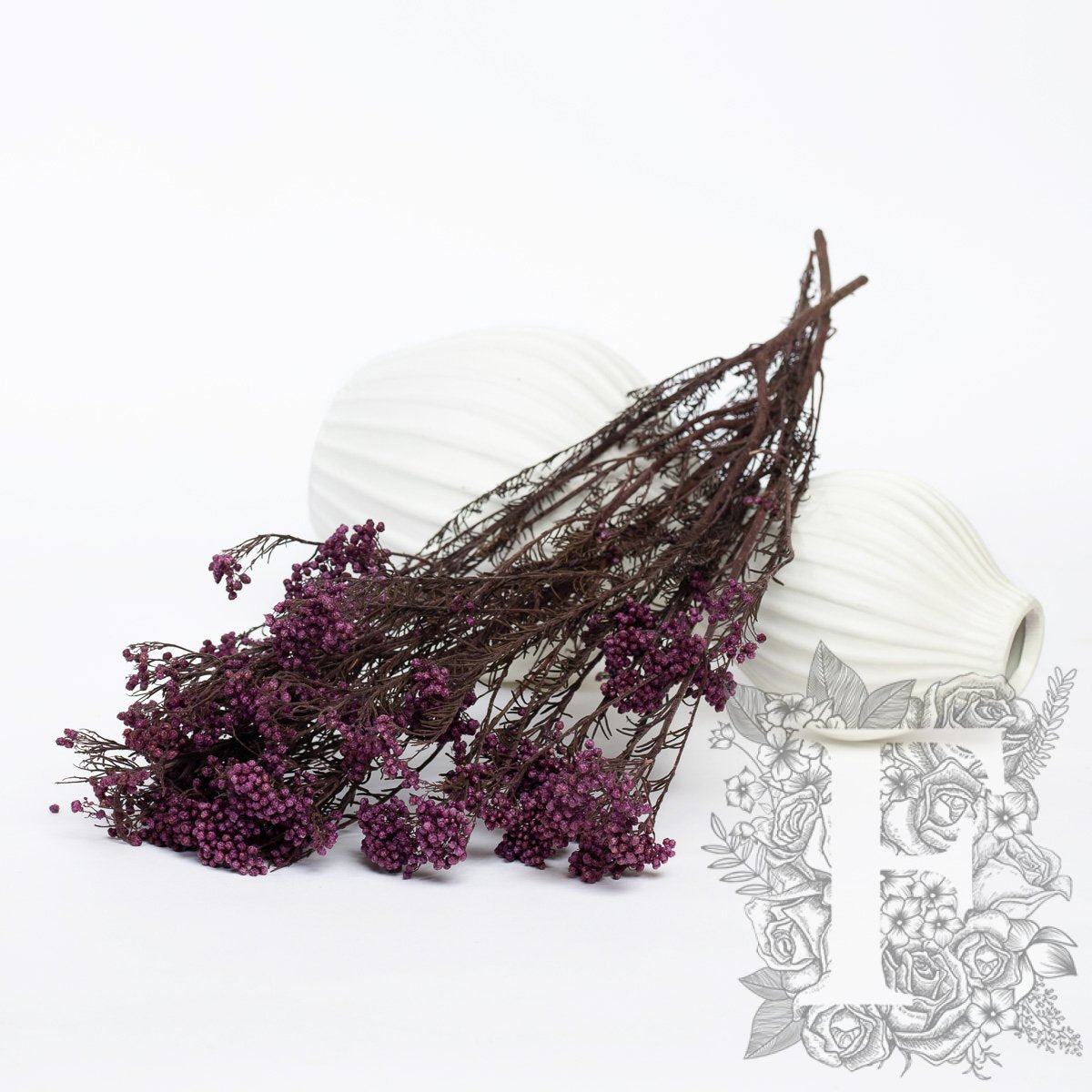 Rice Flower - Bunch