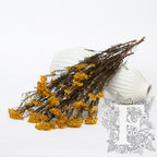 Rice Flower - Bunch