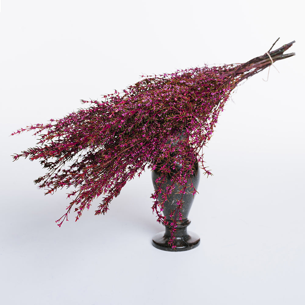 Grabia - Bunch